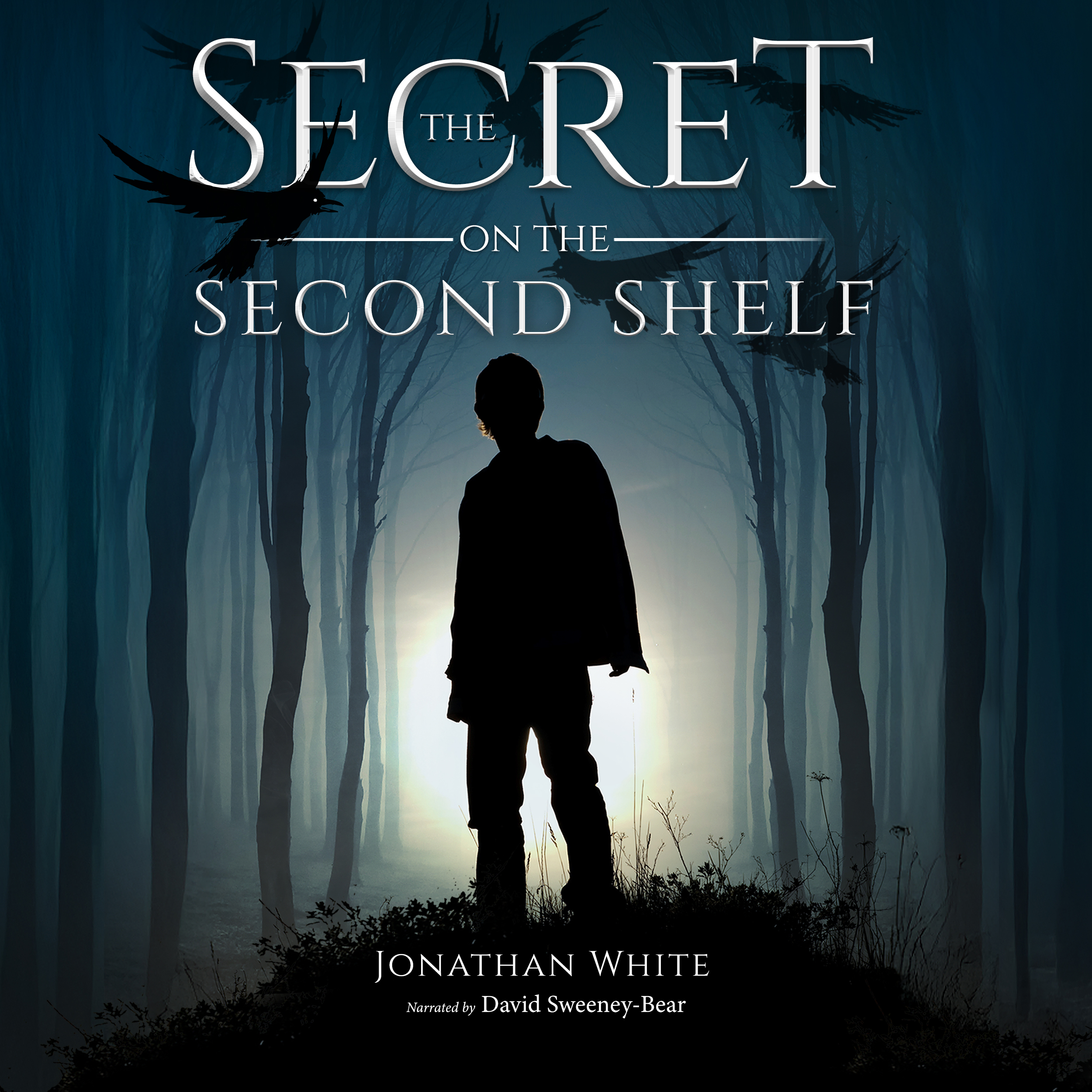 The Secret on the Second Shelf audiobook cover